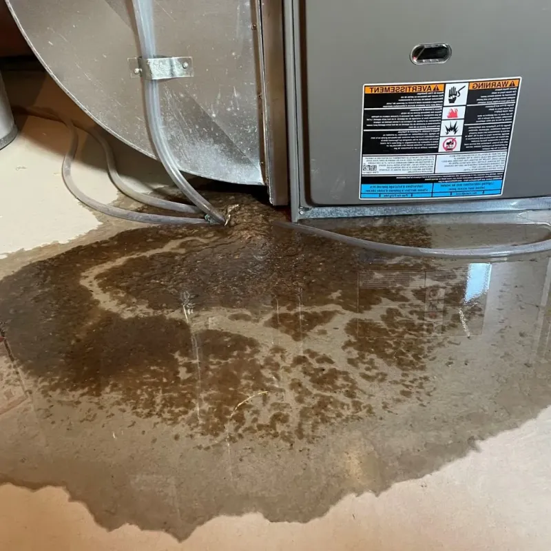Pipe Burst and Leak Restoration in Murphysboro, IL