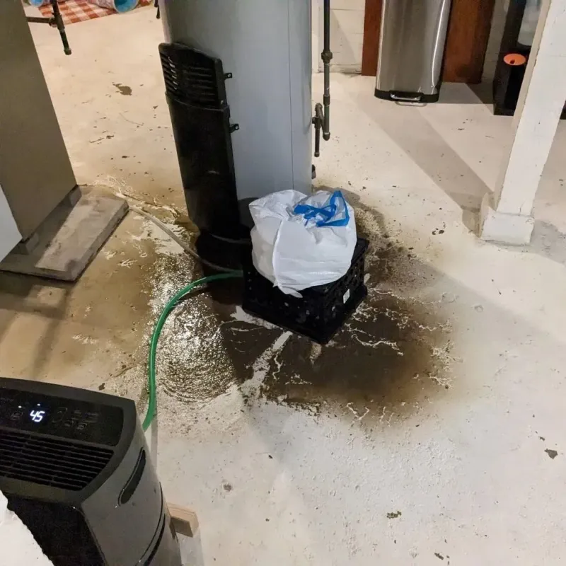 Sewage Backup Cleanup Service in Murphysboro, IL